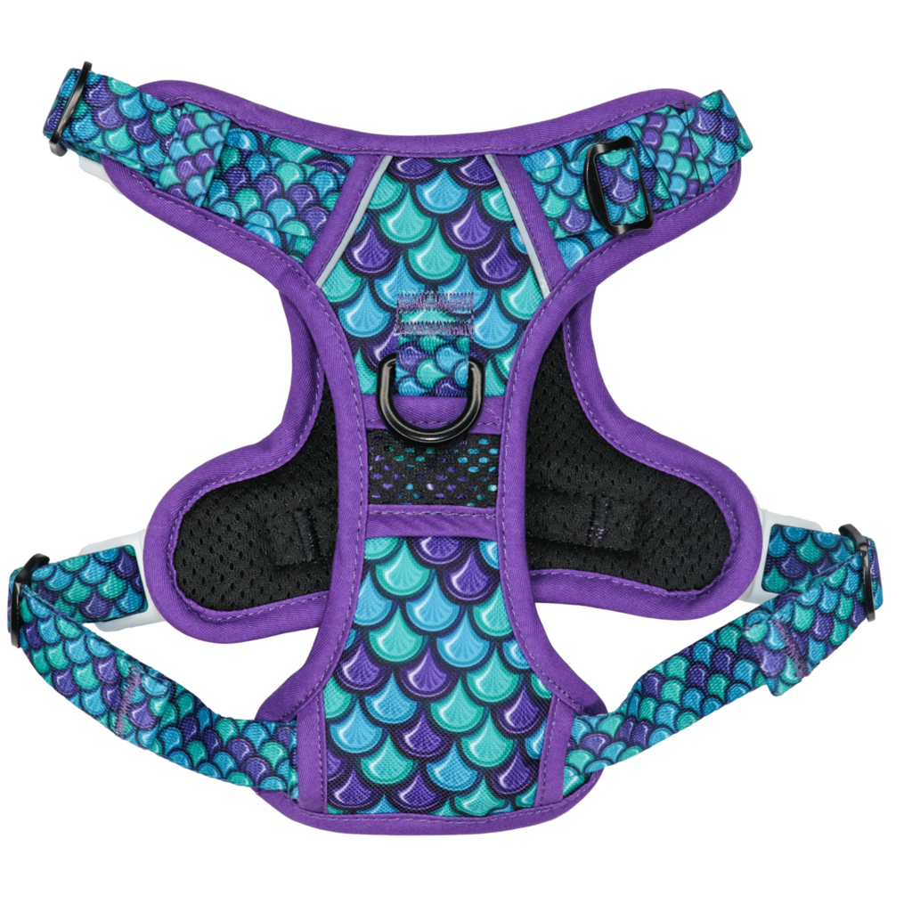 BIG & LITTLE DOGS - Scaled Back All Rounder Dog Harness