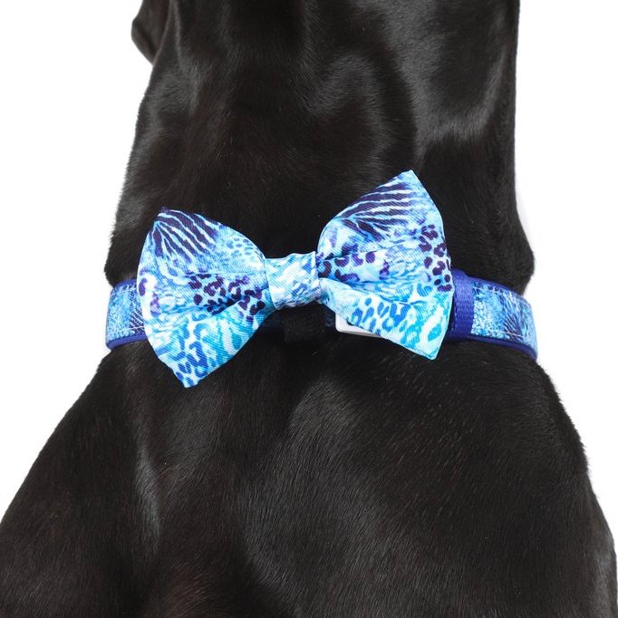 BIG & LITTLE DOGS - Snakeskin Dog Collar & Bow Tie