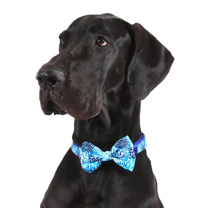 BIG & LITTLE DOGS - Snakeskin Dog Collar & Bow Tie