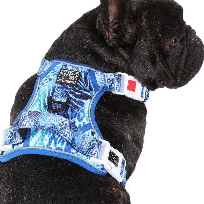 BIG & LITTLE DOGS - Snakeskin All Rounder Dog Harness