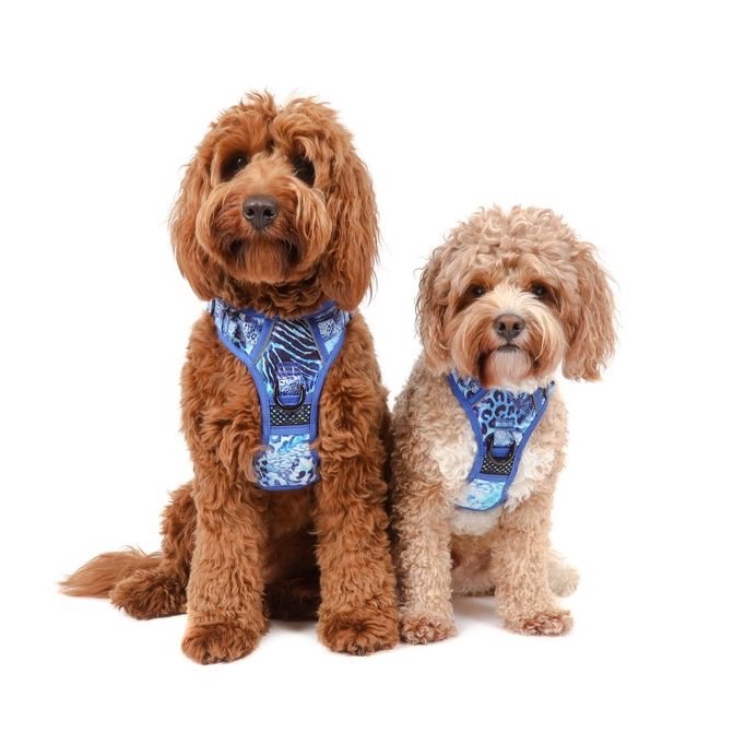 BIG & LITTLE DOGS - Snakeskin All Rounder Dog Harness