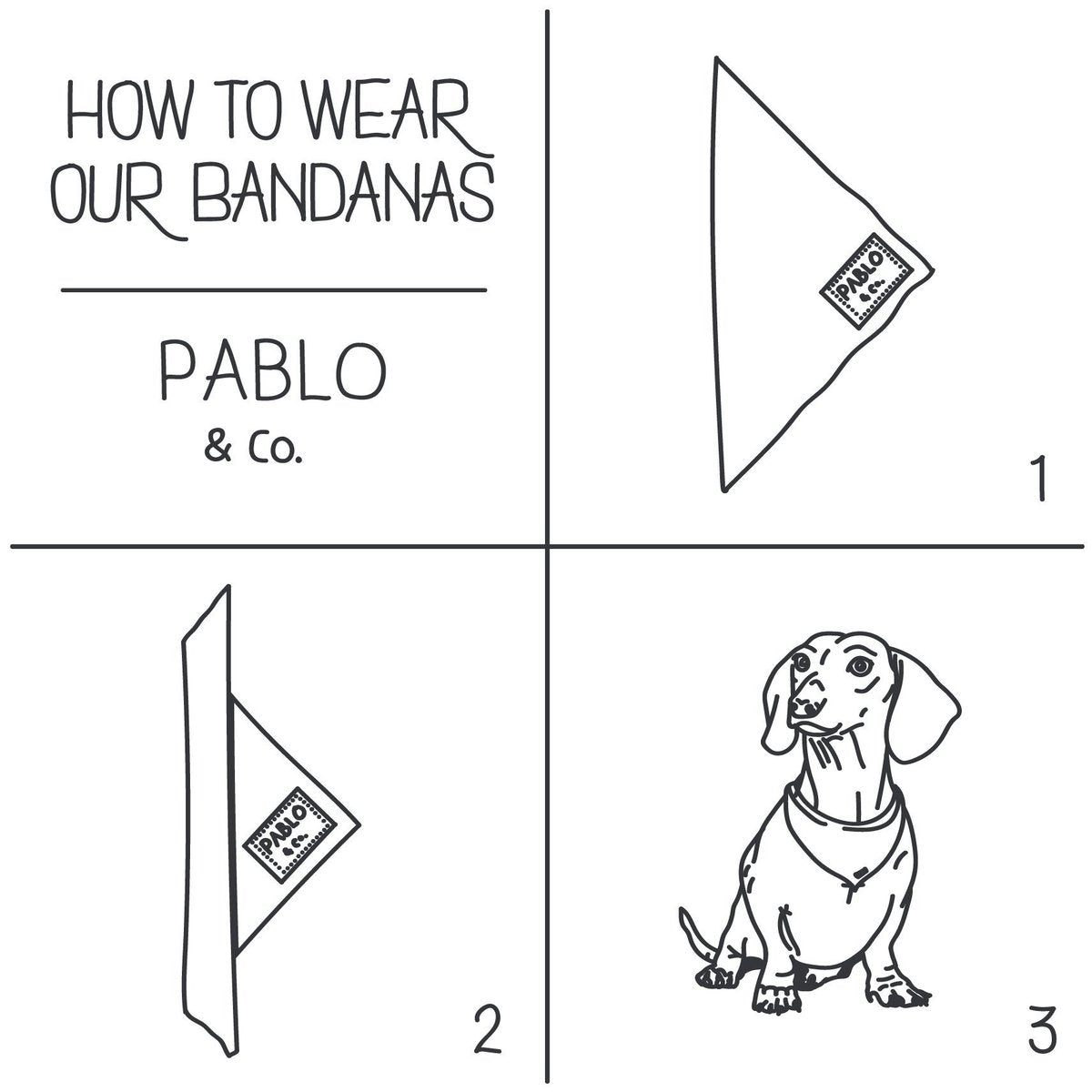 PABLO & CO - Butterflies Dog Bandana