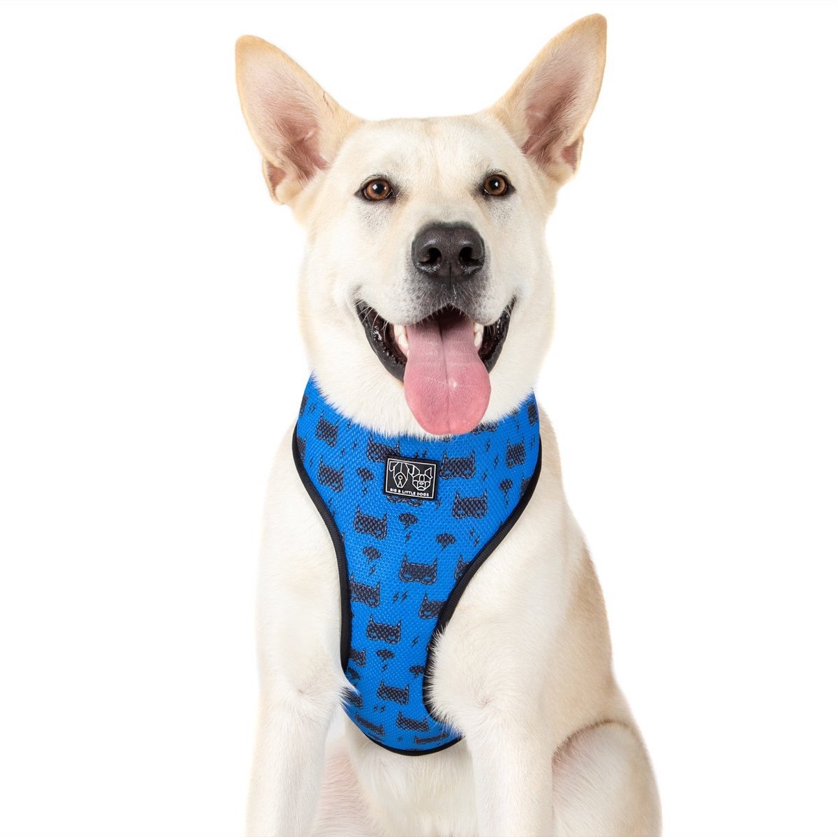 [LAST CHANCE] BIG & LITTLE DOGS - Bat-Dog Classic Dog Harness