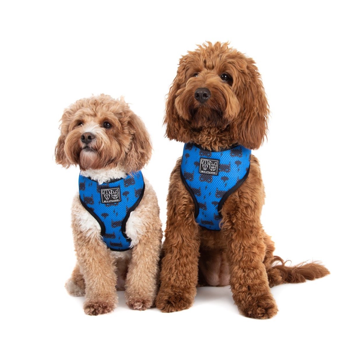 [LAST CHANCE] BIG & LITTLE DOGS - Bat-Dog Classic Dog Harness