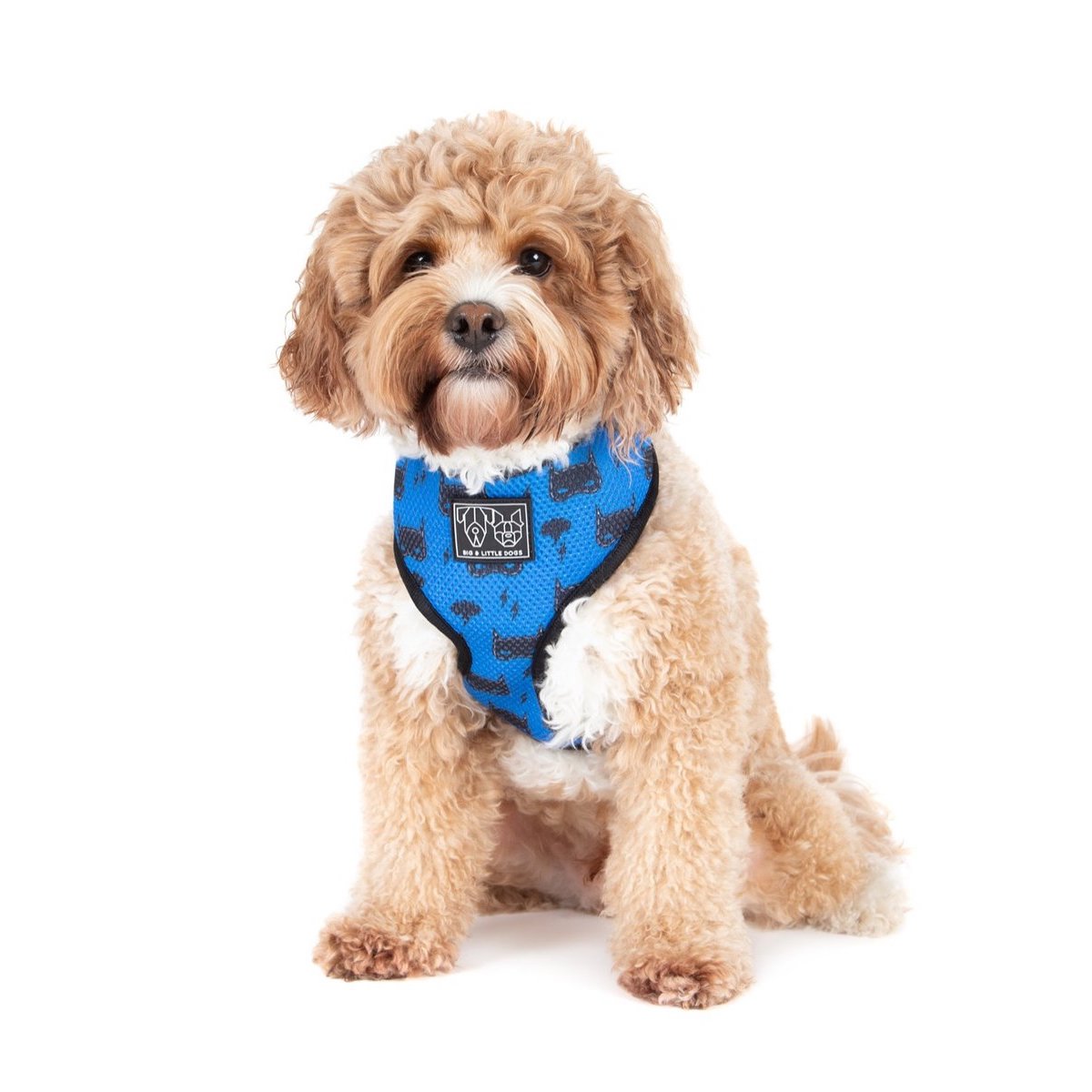 [LAST CHANCE] BIG & LITTLE DOGS - Bat-Dog Classic Dog Harness