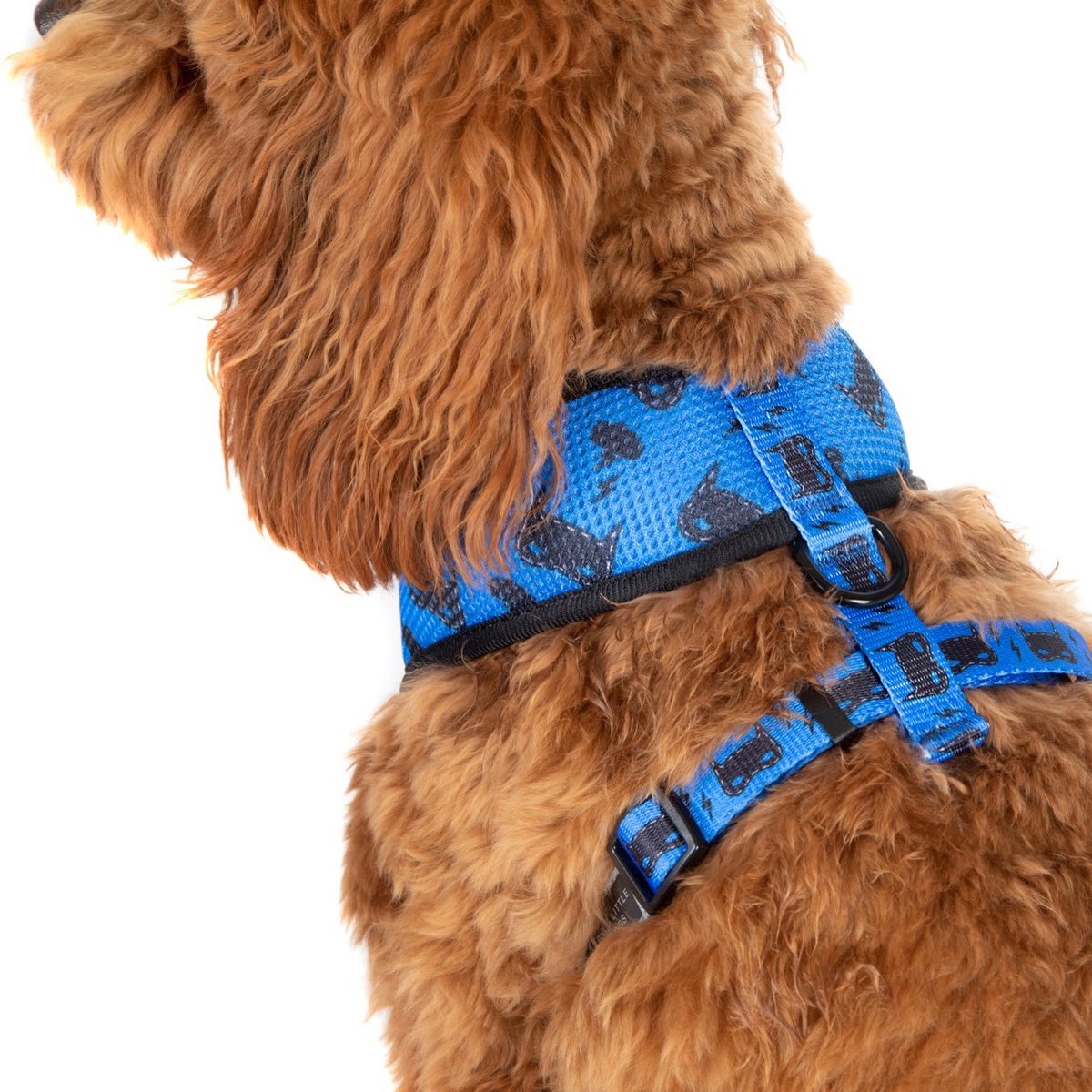 [LAST CHANCE] BIG & LITTLE DOGS - Bat-Dog Classic Dog Harness