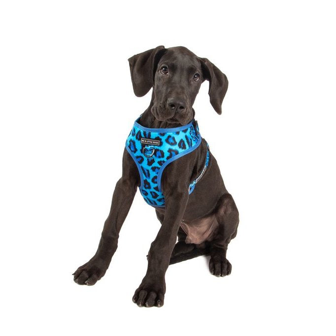 BIG & LITTLE DOGS - Blue Leopard Adjustable Dog Harness