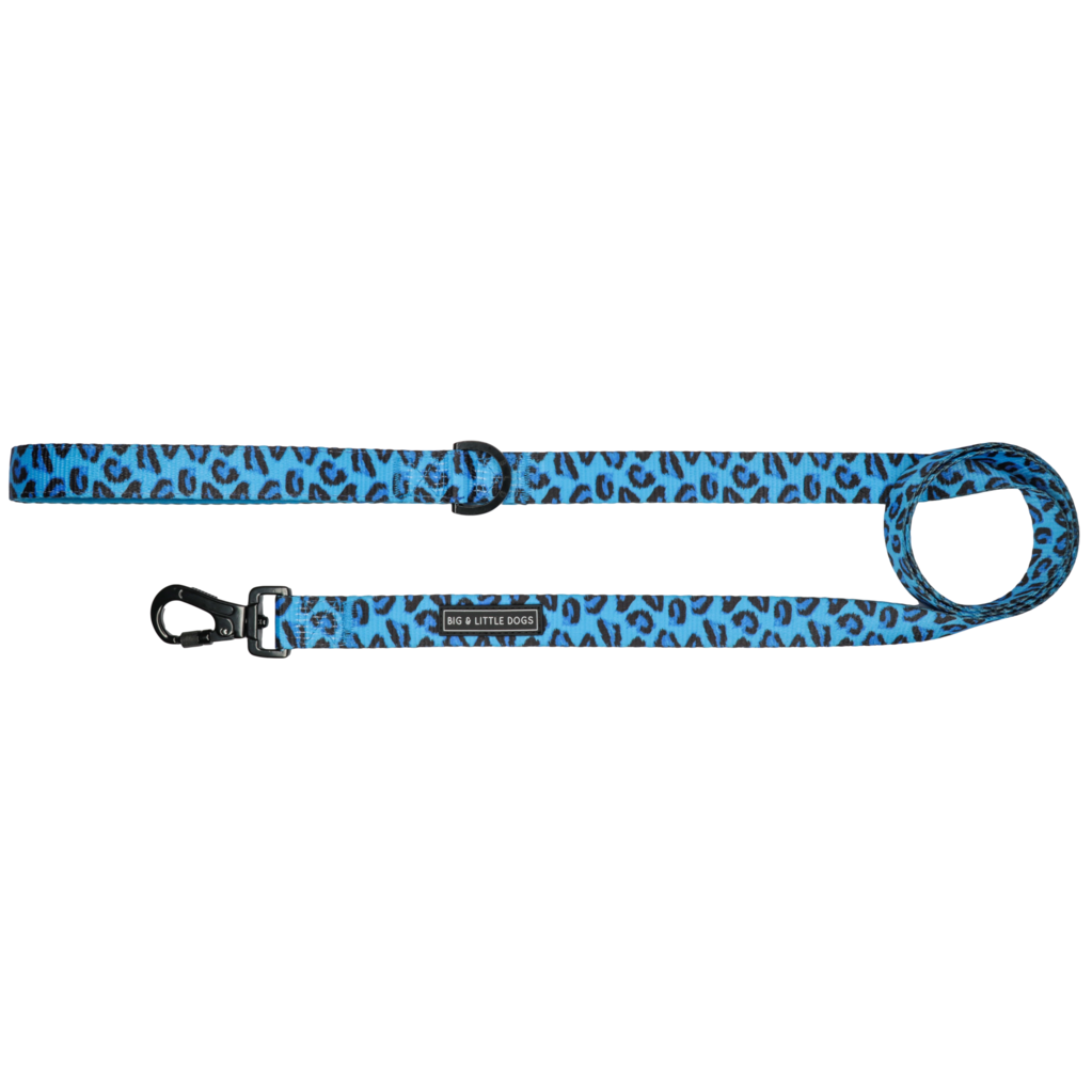 BIG & LITTLE DOGS - Blue Leopard Dog Leash