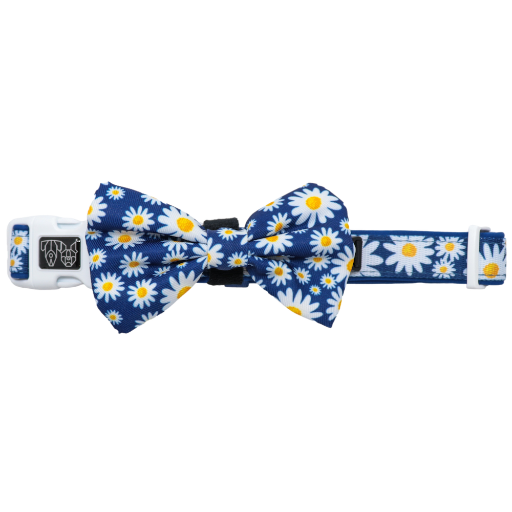 BIG & LITTLE DOGS - Daisy Patch Dog Collar & Bow Tie
