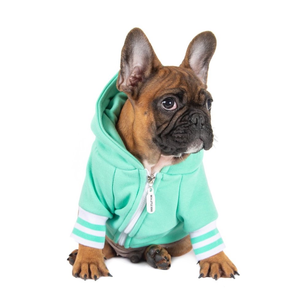 BIG & LITTLE DOGS - Dog Hoodie Jumper Teal