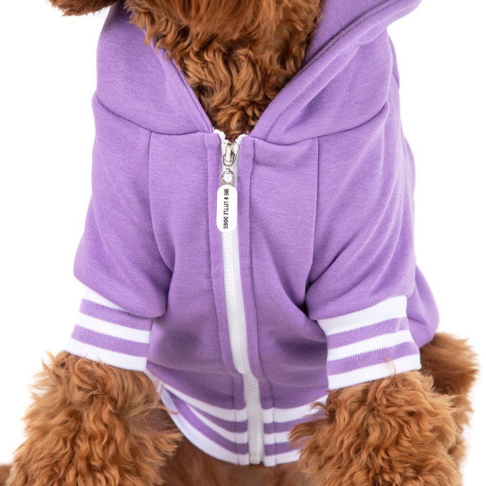 BIG & LITTLE DOGS - Dog Hoodie Jumper Purple