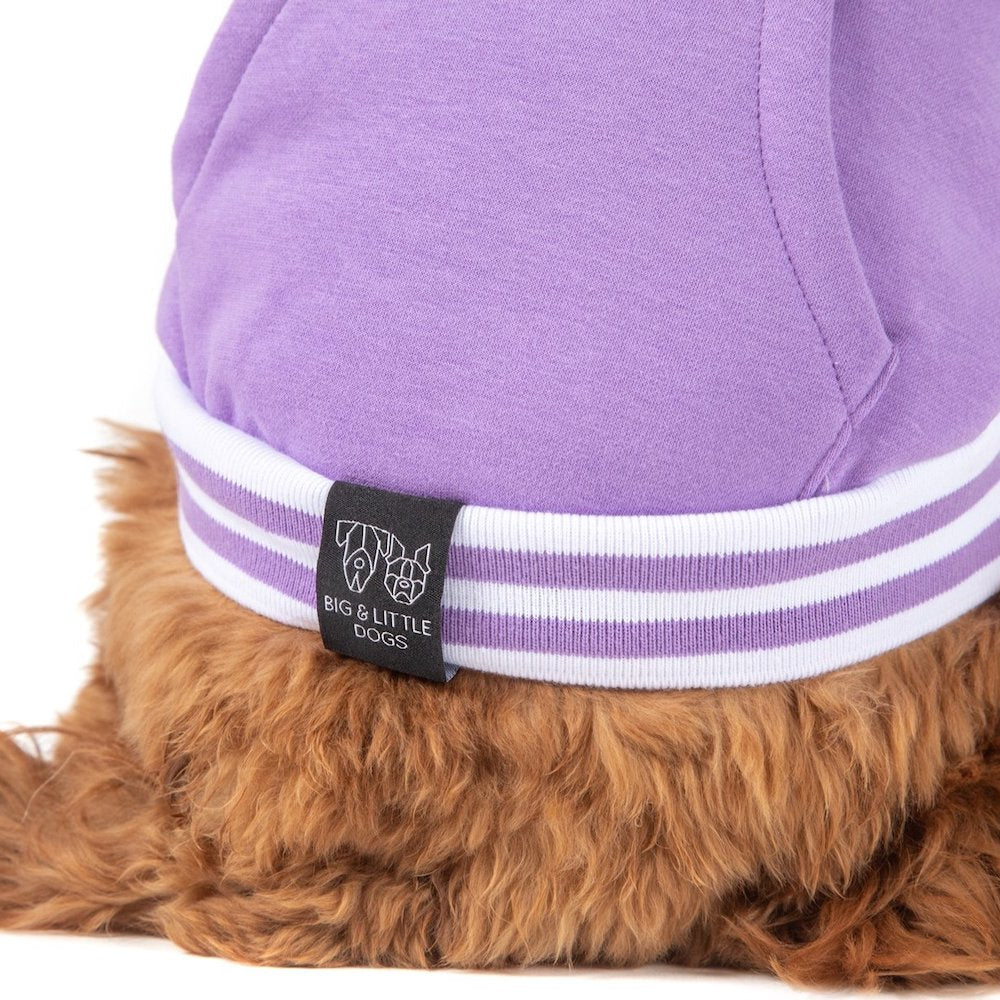 BIG & LITTLE DOGS - Dog Hoodie Jumper Purple