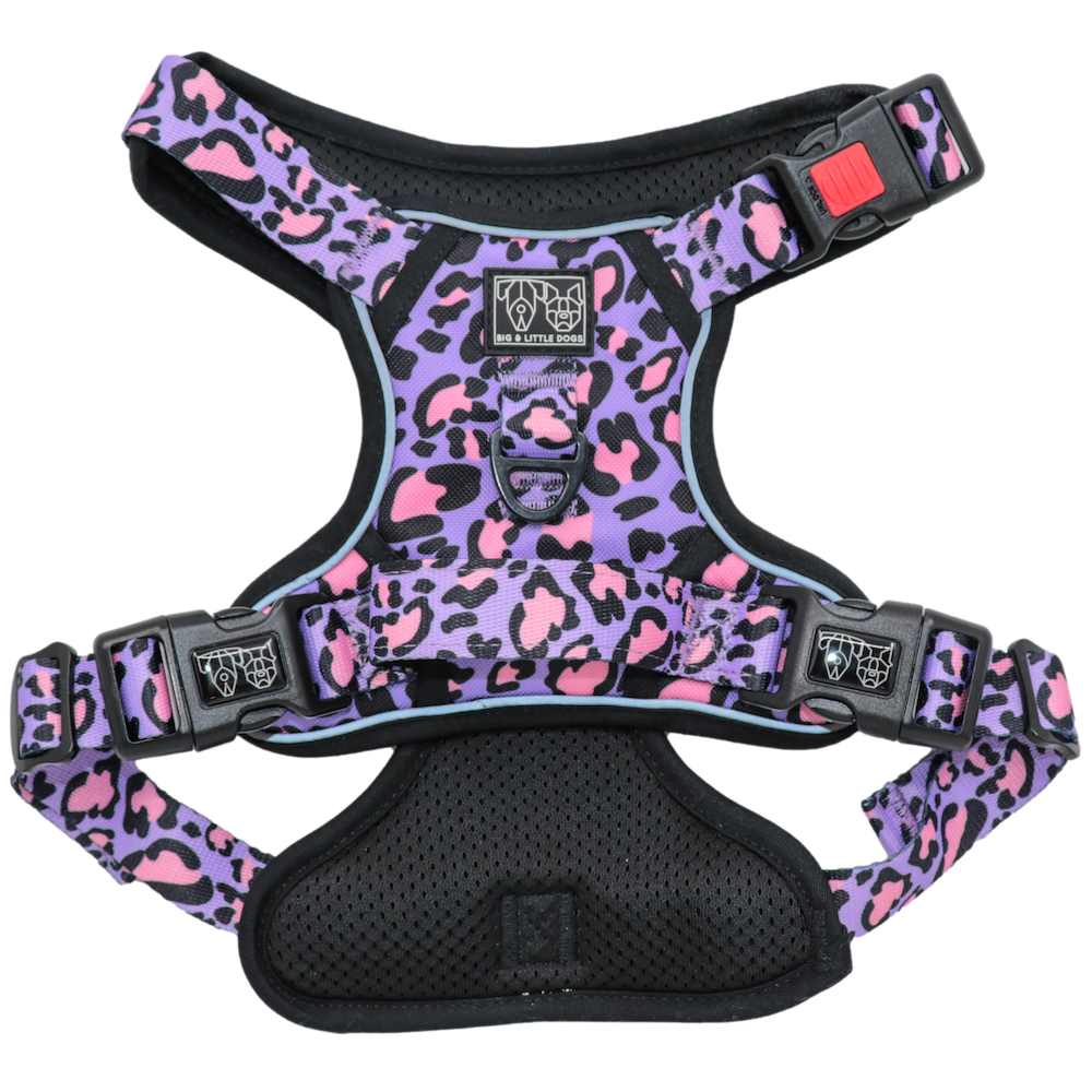 BIG & LITTLE DOGS - Wild Side All Rounder Dog Harness