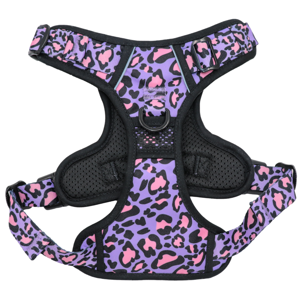 BIG & LITTLE DOGS - Wild Side All Rounder Dog Harness