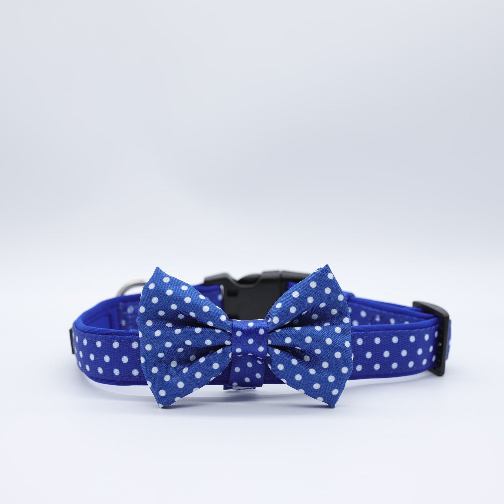 SOAPY MOOSE - Blue & White Polka Dots Collar & Bow Tie