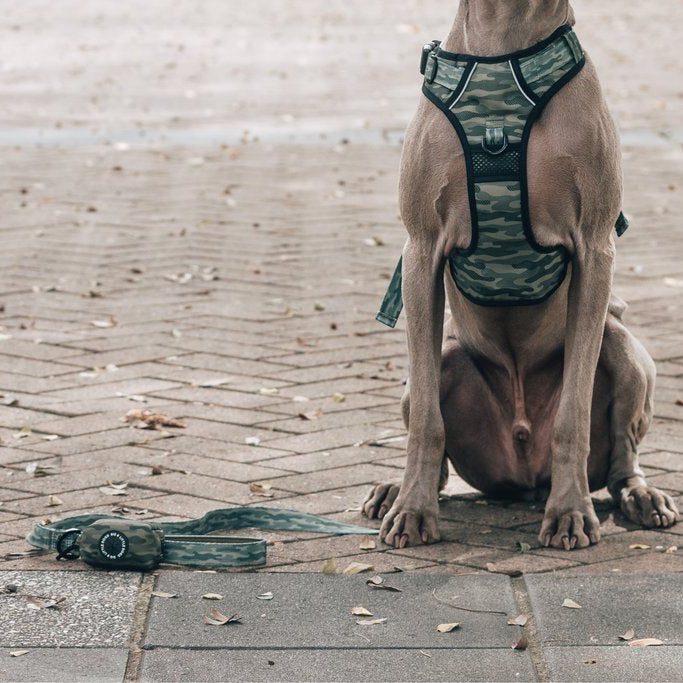 BIG & LITTLE DOGS - Camouflaged Dog Poop Bag Holder