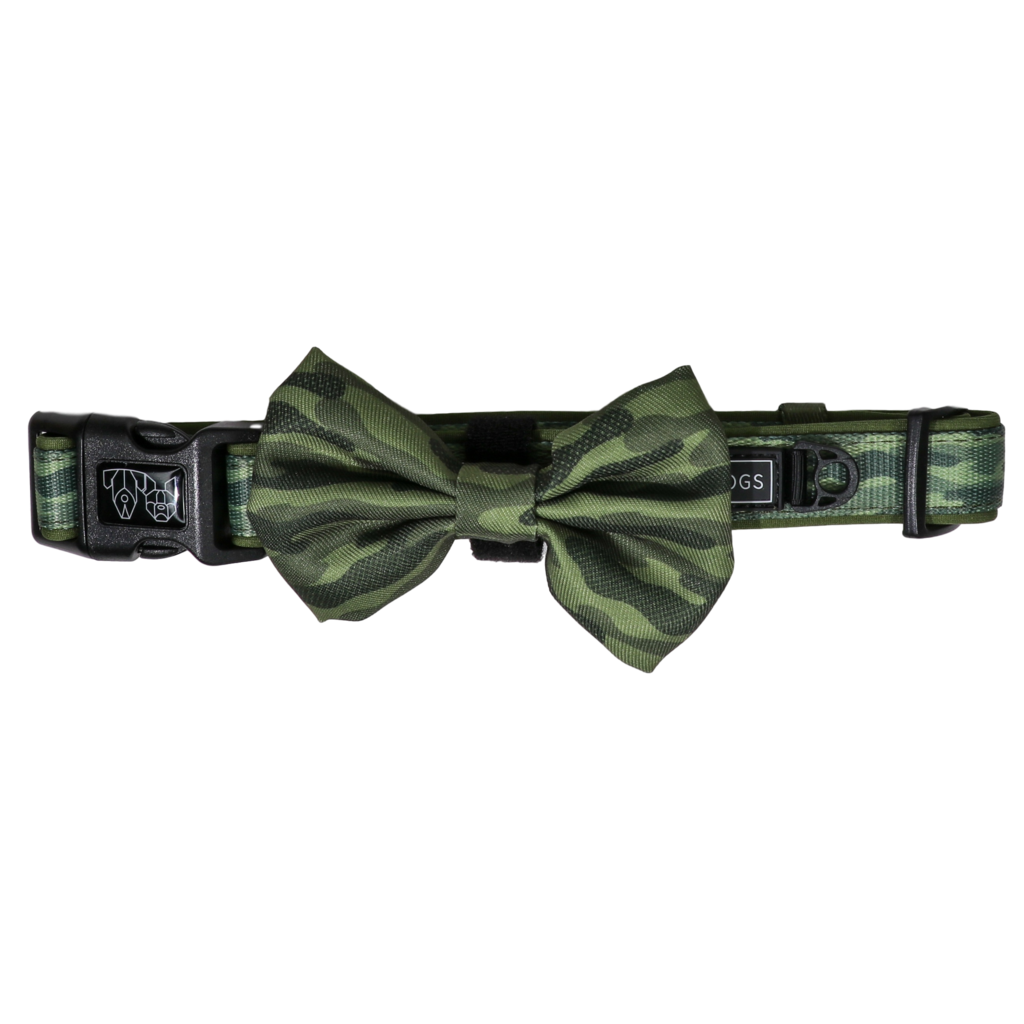 BIG & LITTLE DOGS - Camouflaged Dog Collar & Bow Tie