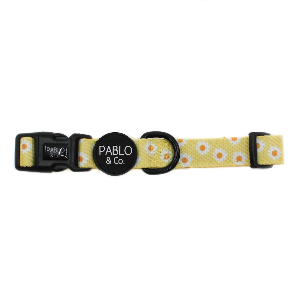 PABLO & CO - Yellow Daisy Dog Collar