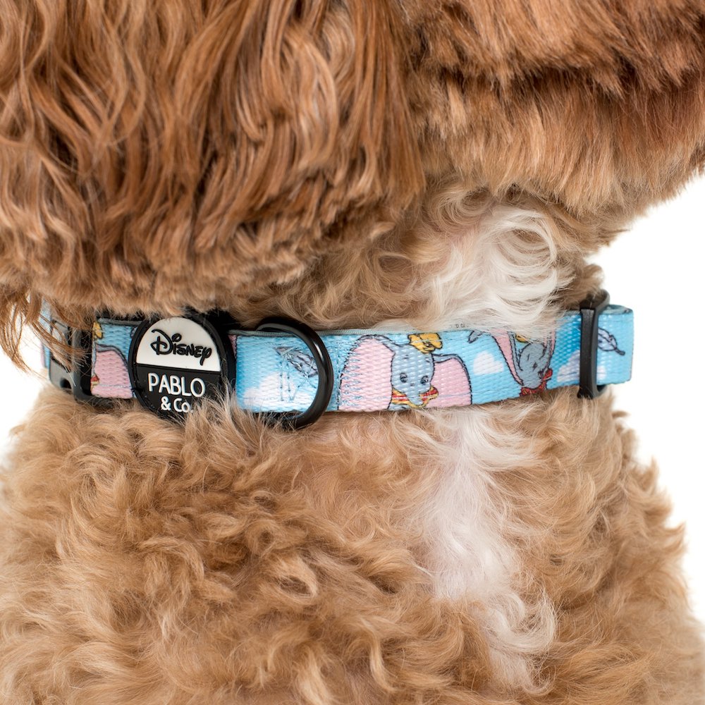PABLO & CO x DISNEY - Dumbo in the Clouds Dog Collar