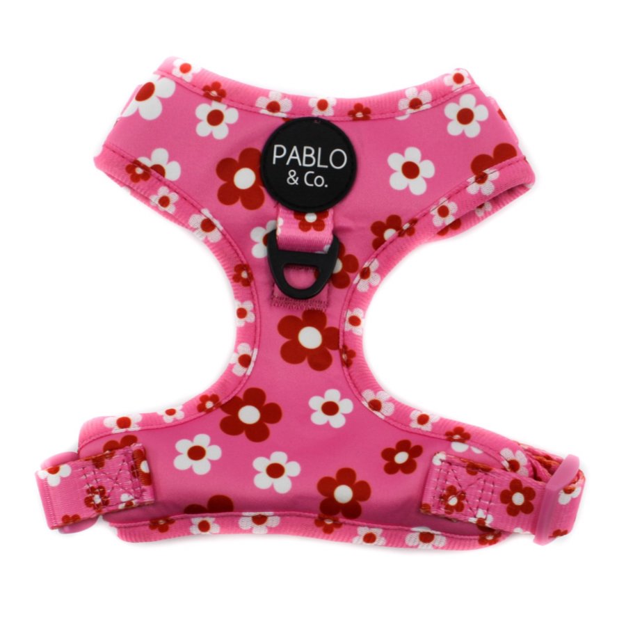 PABLO & CO - Flower Power Adjustable Dog Harness