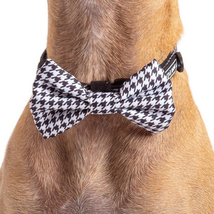 [LAST CHANCE] BIG & LITTLE DOGS - Houndstooth Squad Dog Collar & Bow Tie