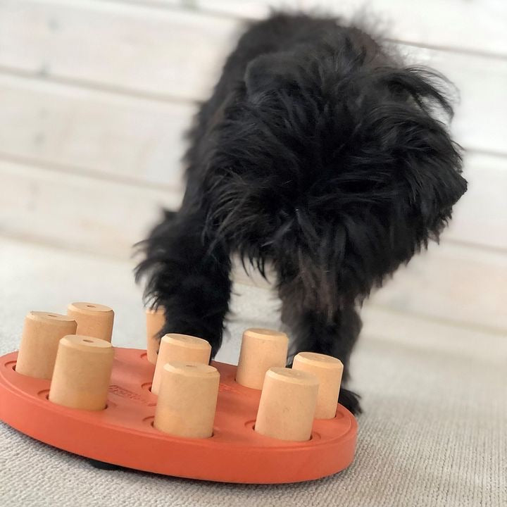 [LAST CHANCE] NINA OTTOSSON - Dog Smart Composite Puzzle Toy