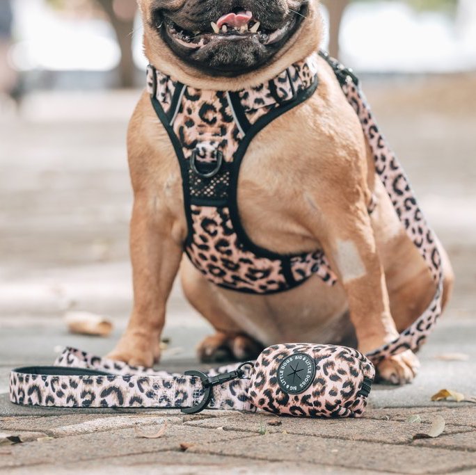 BIG & LITTLE DOGS - Luxurious Leopard Dog Poop Bag Holder