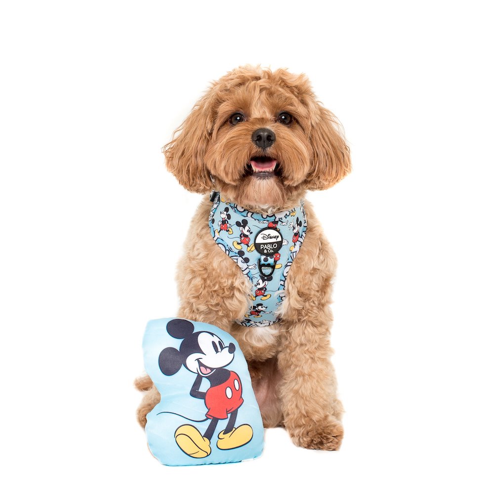 PABLO & CO x DISNEY -  The Original Mickey Mouse Squeaky Toy