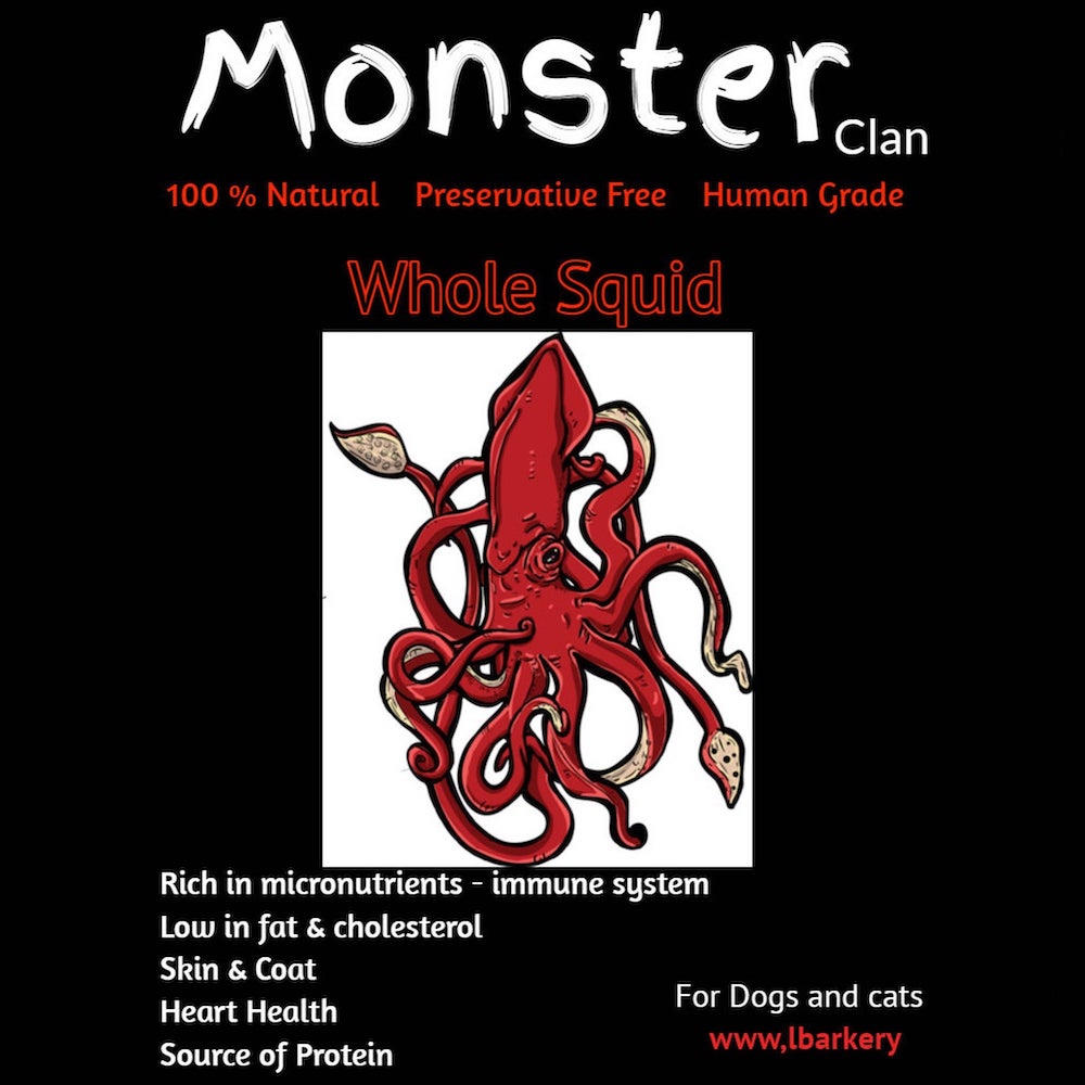 L'BARKERY - Monster Clan Whole Squid