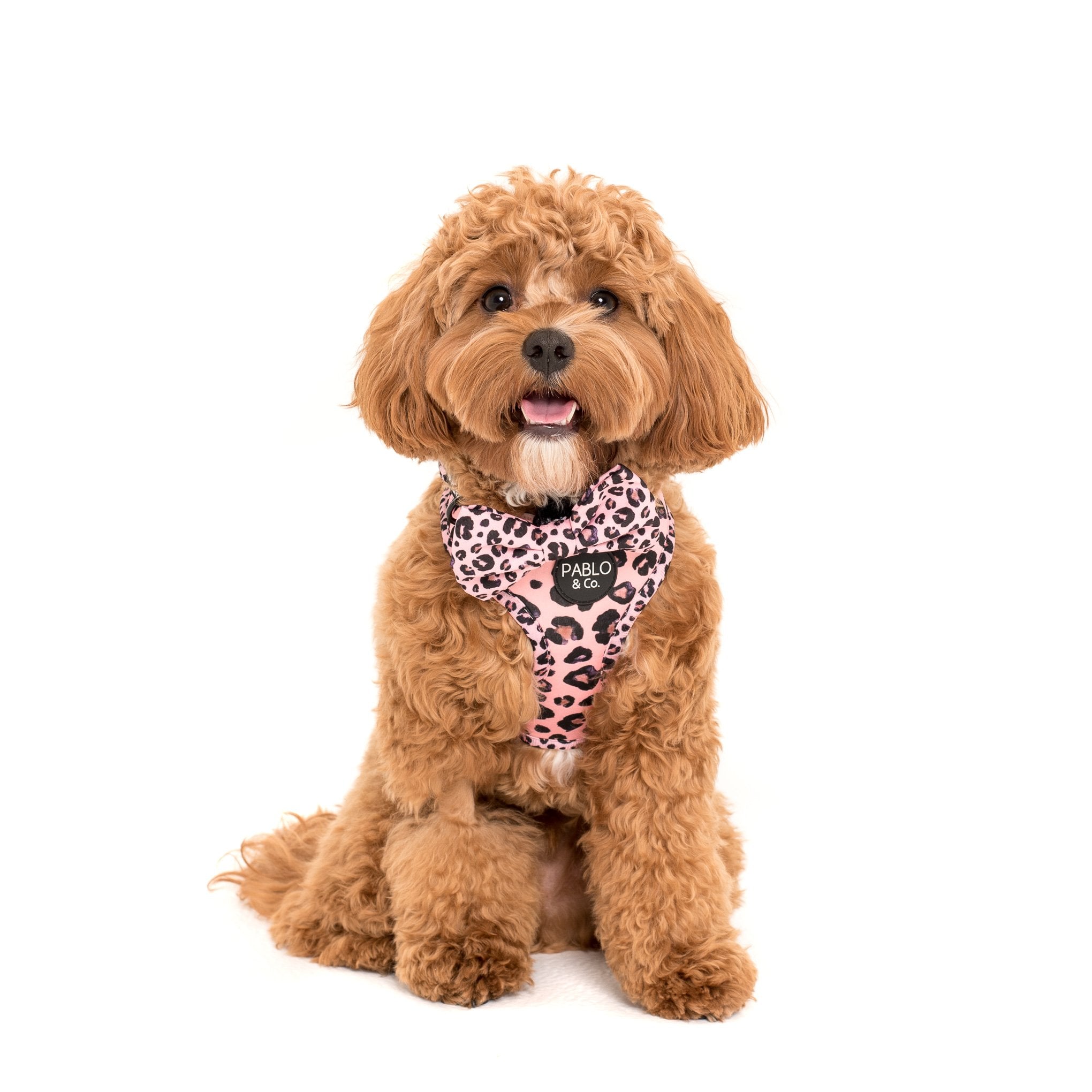 PABLO & CO - Pink Leopard Adjustable Dog Harness
