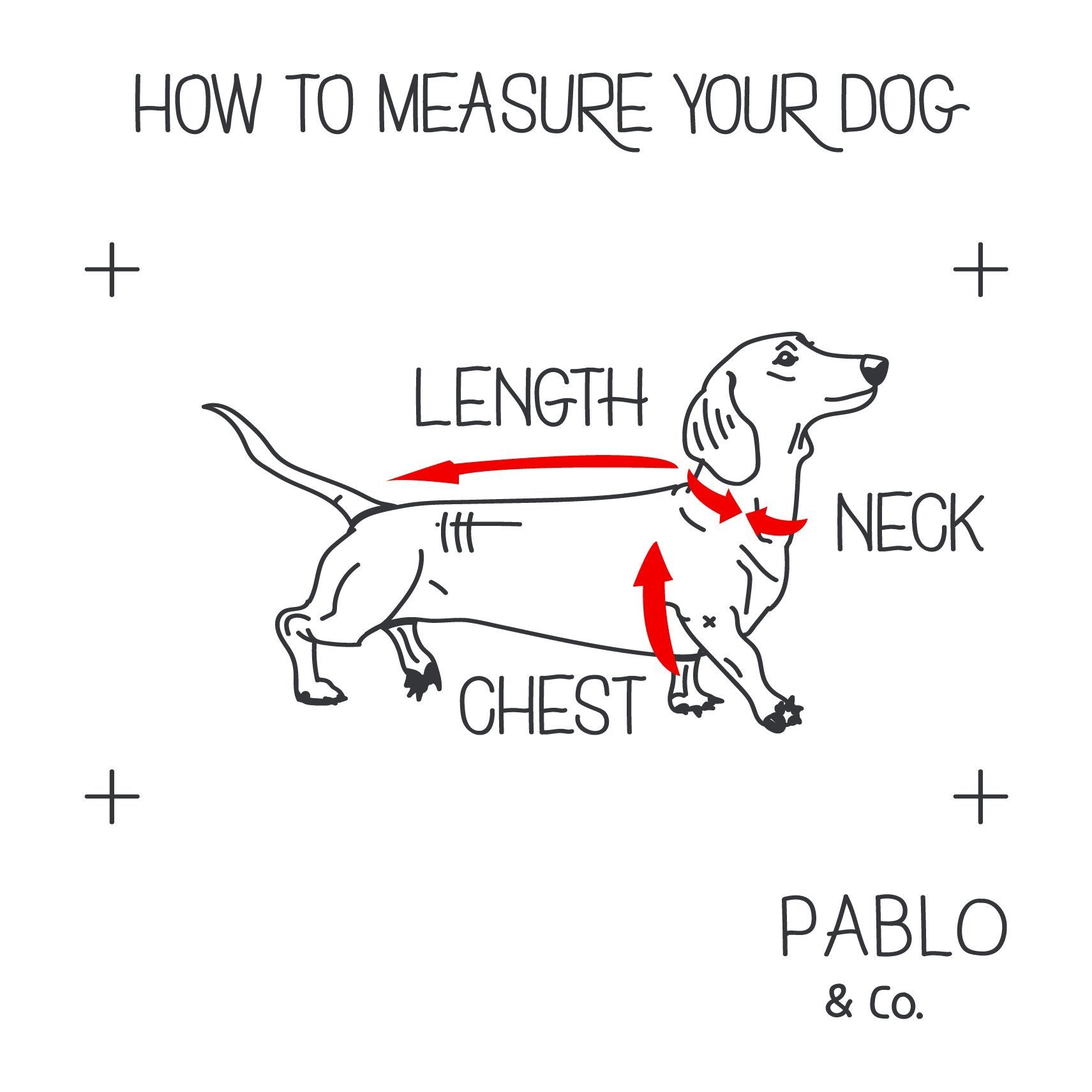 PABLO & CO - The Floral Edit Adjustable Dog Harness