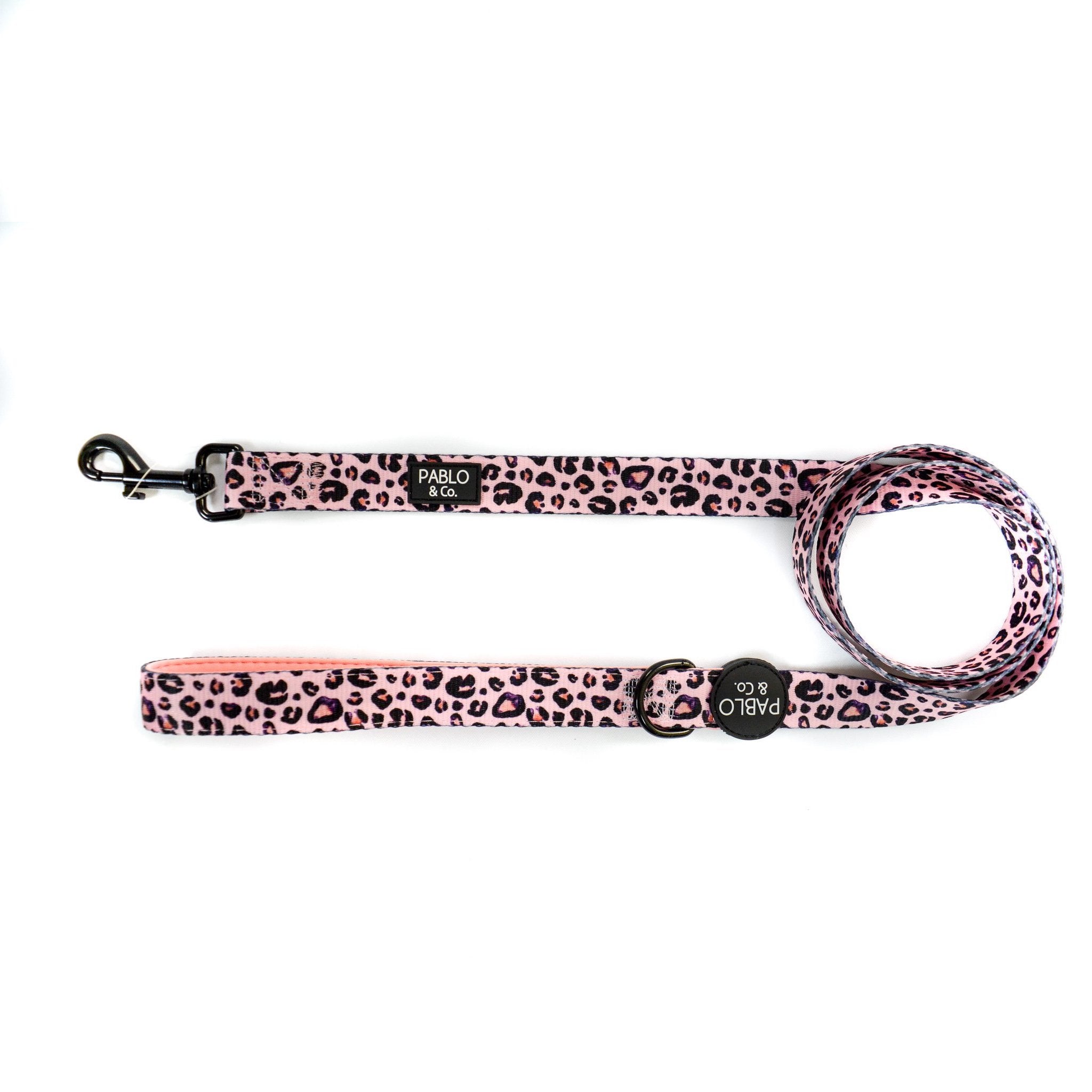 PABLO & CO - Pink Leopard Dog Leash