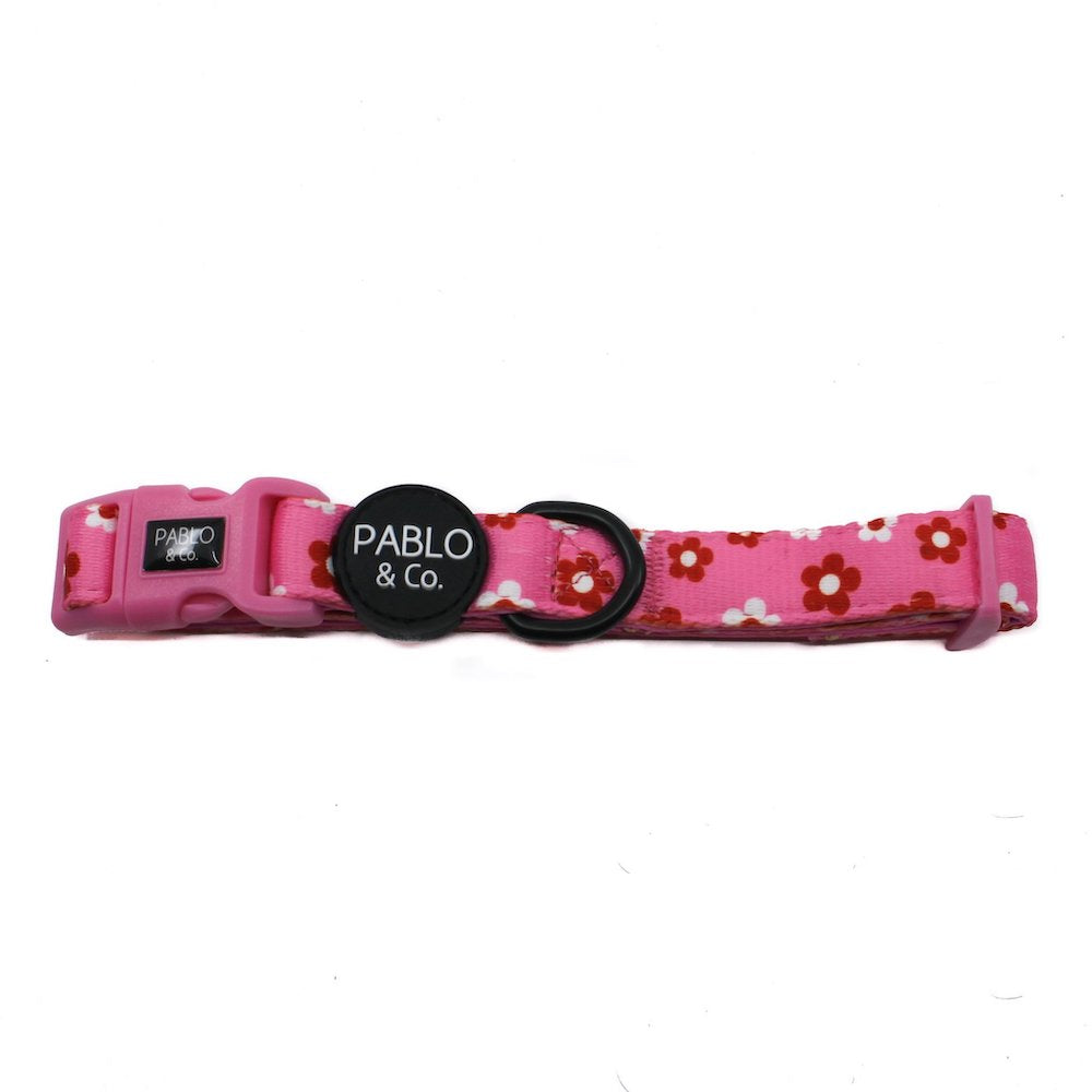 PABLO & CO - Flower Power Dog Collar