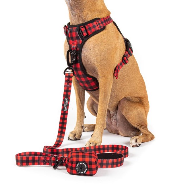 BIG & LITTLE DOGS - Plaid to the Bone Dog Poop Bag Holder