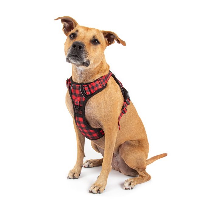 BIG & LITTLE DOGS - Plaid to the Bone All-Rounder Dog Harness