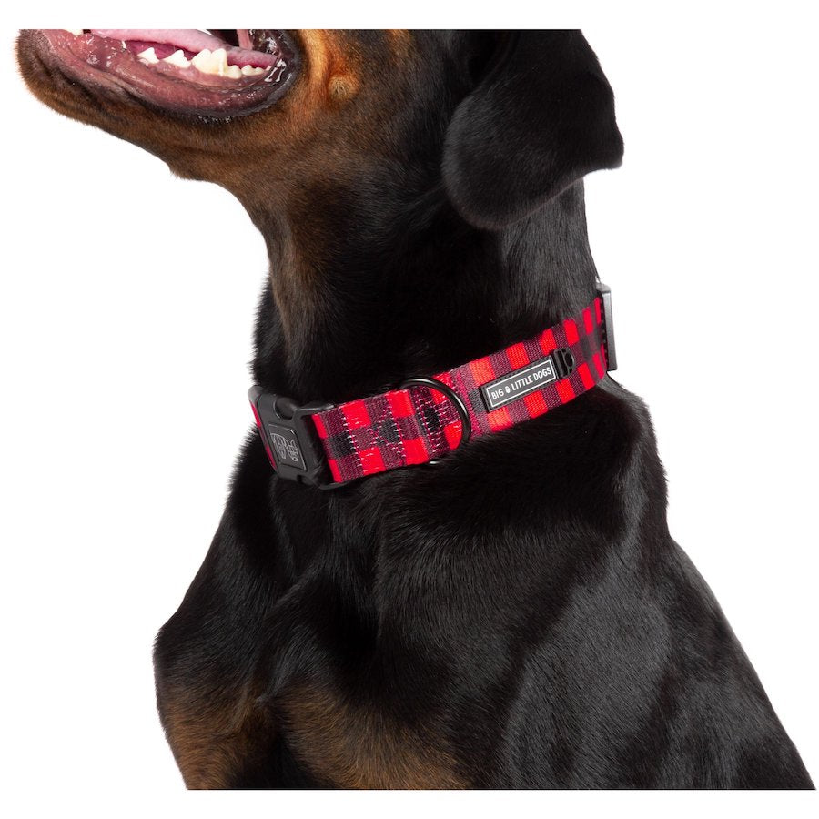 BIG & LITTLE DOGS - Plaid to the Bone Dog Collar & Bow Tie