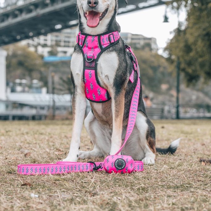 [LAST CHANCE] BIG & LITTLE DOGS - Pink Lightning Dog Poop Bag Holder