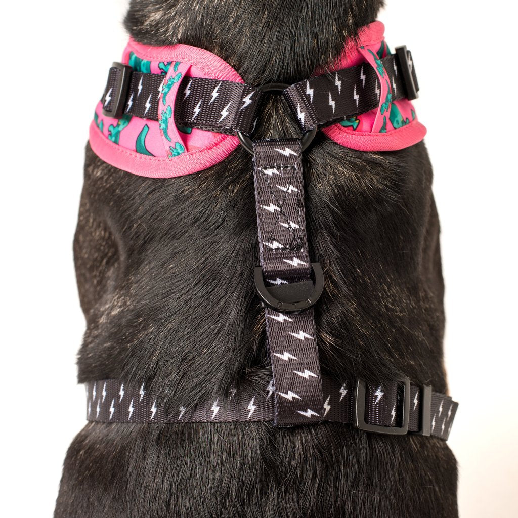 [LAST CHANCE] BIG & LITTLE DOGS - Princess-asaurus Adjustable Dog Harness