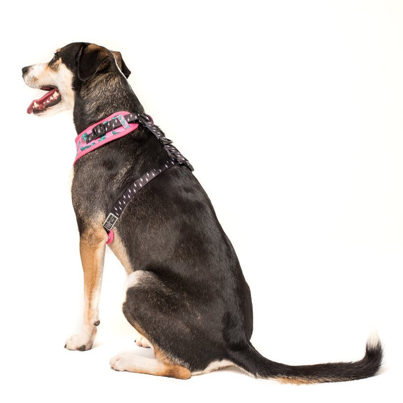 [LAST CHANCE] BIG & LITTLE DOGS - Princess-asaurus Adjustable Dog Harness