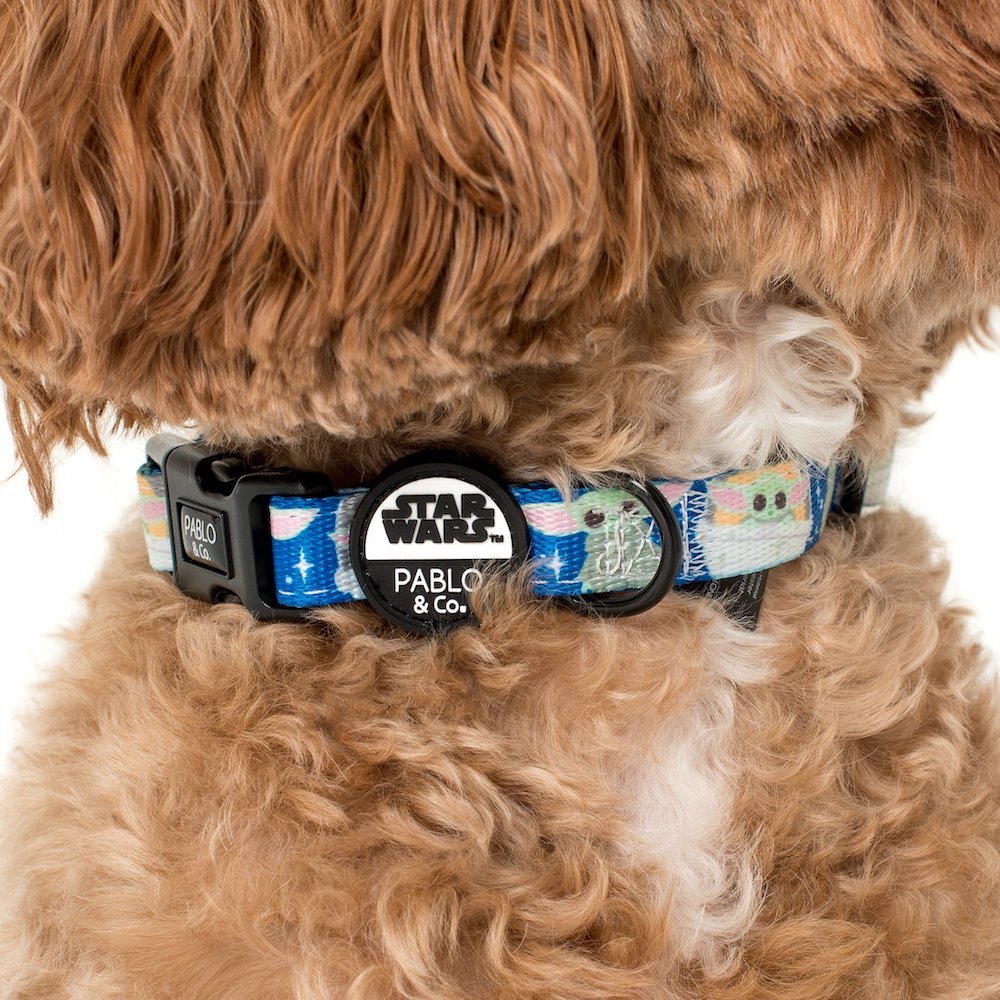 PABLO & CO x STAR WARS - Grogu Dog Collar