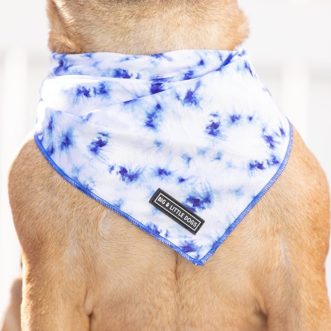 [LAST CHANCE] BIG & LITTLE DOGS - Tie Dye Blue Dog Bandana