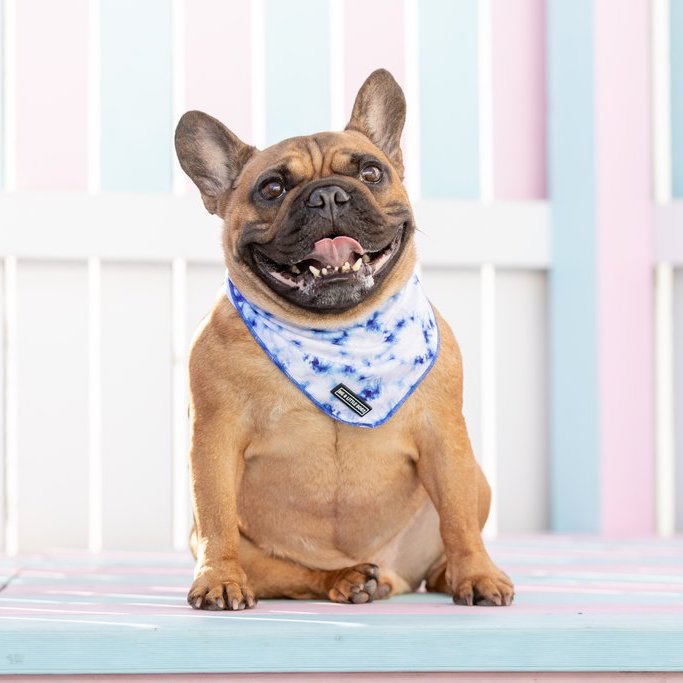 [LAST CHANCE] BIG & LITTLE DOGS - Tie Dye Blue Dog Bandana