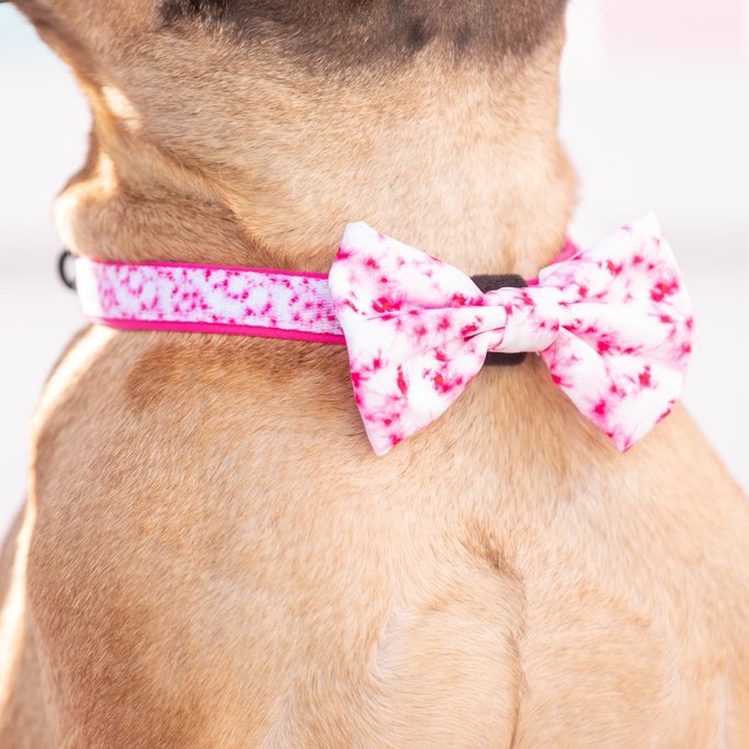 [LAST CHANCE] BIG & LITTLE DOGS - Tie Dye Pink Dog Collar & Bow Tie
