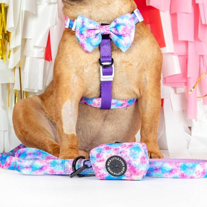 BIG & LITTLE DOGS - Tie Dye For Dog Poop Bag Holder