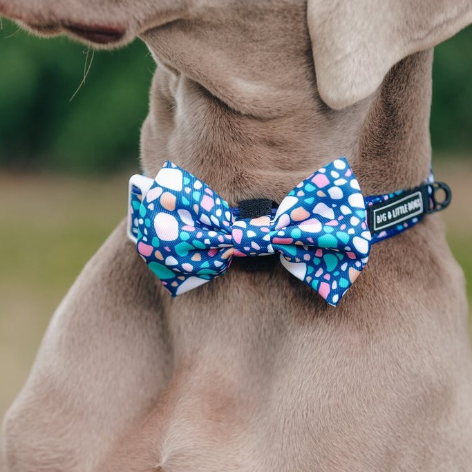 [LAST CHANCE] BIG & LITTLE DOGS - Trevi Terrazzo Dog Collar & Bow Tie